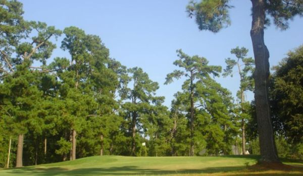 view of golf course green with trees