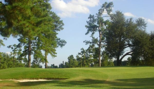 view of golf course green with sand trap and trees