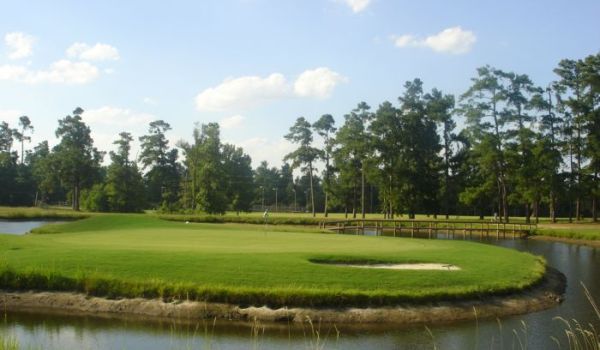 view of golf course green with pond