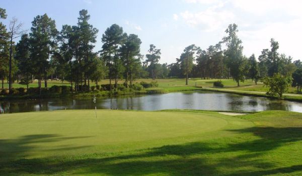 view of golf course green with pond