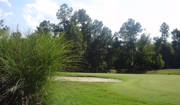 view of sand trap on golf course