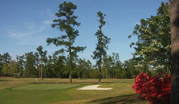 view of the green with trees and a sand trap
