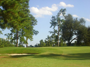 Shannon Greens practice grounds