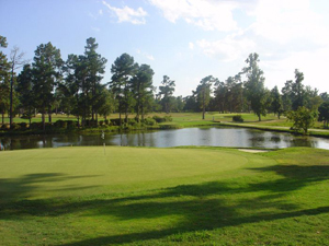 green at Shannon Greens Golf Club