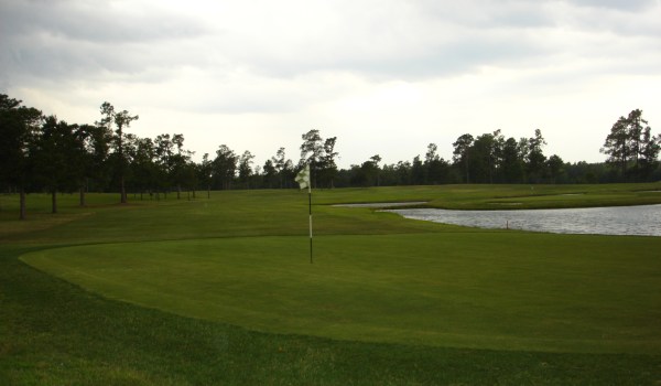 view of golf course green with sand trap