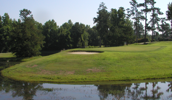 view of golf course green with sand trap and pond